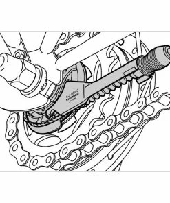 Shimano Cassette Joint Nexus 8 V SG-8R40